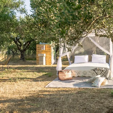 Star Sleep Elis Land Estate - Vasiliki Amaliada