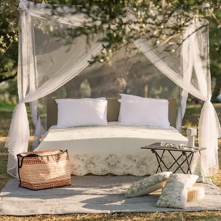 Star Sleep Elis Land Estate - Vasiliki