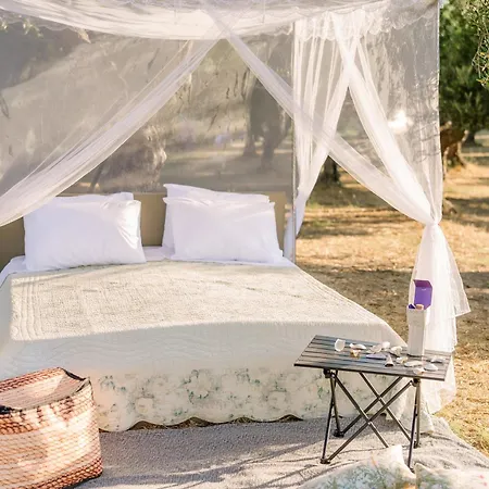 Star Sleep Elis Land Estate - Vasiliki *