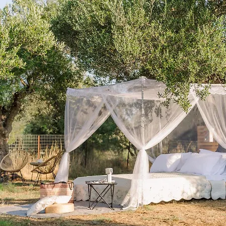 Star Sleep Elis Land Estate - Vasiliki