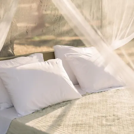 Star Sleep Elis Land Estate - Vasiliki Amaliada