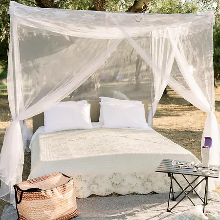 Star Sleep Elis Land Estate - Vasiliki